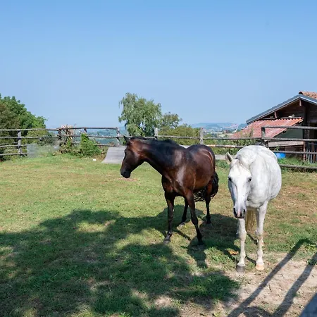 Сasa de vacaciones Il Roseto By Interhome *